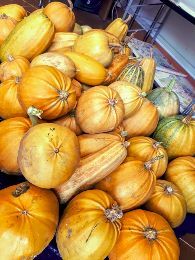 FESTA DELLA RIFICOLONA & MARZOCCHINA 2019