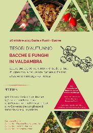 TESORI D'AUTUNNO. BACCHE E FUNGHI IN VALDAMBRA