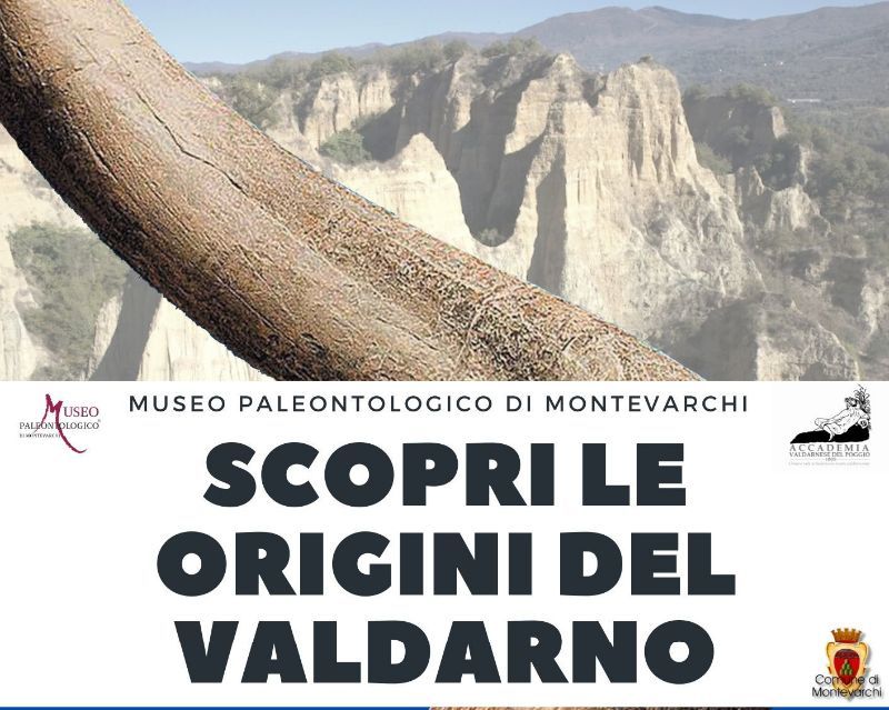 Visite guidate al Museo Paleontologico Estate 2020 “Scopri le origini del Valdarno”