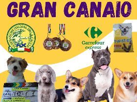 Gran Canaio