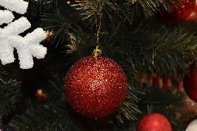 8 Dicembre 2024 in Valdarno