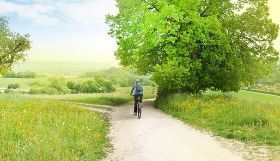 Valdarno Bike Road