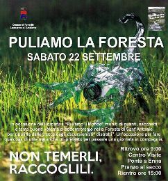 NATURALMENTE REGGELLO: PULIAMO LA FORESTA - NOTTURNA NEL BOSCO - PONTE A ENNA ZERO-TRE