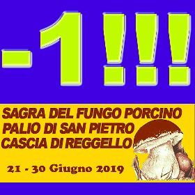 FESTA & PALIO DI SAN PIETRO – 45^ SAGRA DEL FUNGO PORCINO 
