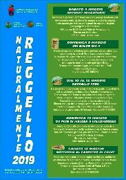 REGGELLO TREK 