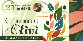 CAMMINATA TRA GLI OLIVI - RASSEGNA DELL'OLIO REGGELLO 2019